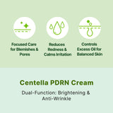 SCINIC Centella PDRN Cica & Soothing Cream 2.7 fl oz (80ml)