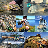 Maxcatch Carbon Fiber Fly Fishing Rod Travel Tube(Case) with Aluminum Cap – fits Any 9ft/10ft 4pcs Fly Rod (Carbon Rod Tube, 30.3''(for 9ft 4pcs Fly Rod))