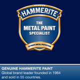 Hammerite 5092965 Metal Paint: Smooth Black 400Ml (Aerosol)