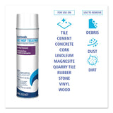 Boardwalk Dust Mop Treatment, 17 oz Aerosol Spray, for Push Brooms, Will Not Damage Floors, Non Slippery, Multi Surface, Pine Scent