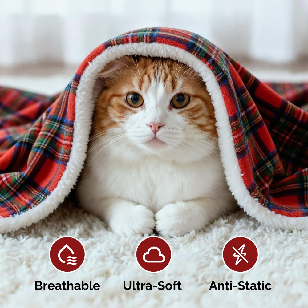 Christmas Sherpa Blanket Throw Size - Reversible Sherpa Fleece Blanket - Super Soft Double Sided Throw for Bed, Sofa, Couch - Thick, Warm, Cozy & Plush - Xmas Winter Bedding - Christmas Tartan, 50x60