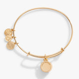 ALEX AND ANI Birthstones Expandable Bangle for Women, June, Pink Light Amethyst Crystal, Shiny Gold Finish, 2 to 3.5 in