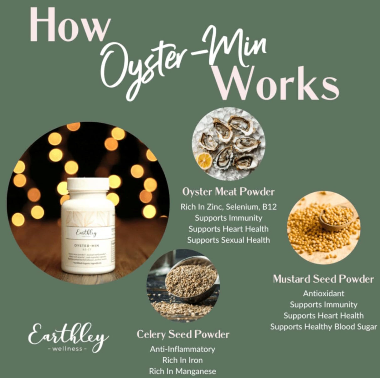 Earthley Wellness, Oyster-Min Capsules, Natural Zinc & Mineral Supplement, Promotes Energy & Mood, Rich in Antioxidants & Amino Acids, 100% Pure & Bioavailable (60 Capsules)