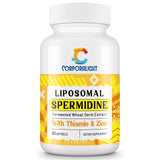 30mg Spermidine Supplement, Liposomal Spermidine, High Absorption, More Potent Than Spermidine 3HCL, Fermented Wheat Germ Extract, Spermidine for Women & Men, Cellular Renewal, Longevity, 60 Softgels