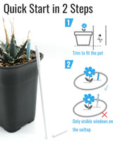 Diligrow Aquameter – Soil Moisture Meter for Succulents, General Plant, Bonsai, Gardening & Farming, Indoor & Outdoor, Beginner-Friendly (12 PCS)