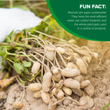 Hampton Farms - USA Grown All-Natural - Fancy Roasted In-Shell Salted Peanuts - 5 lb. Bag