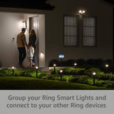 Ring Solar Pathlight — Motion-activated pathlight, bright LEDs, works with Amazon Sidewalk, Black