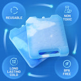 Jumbo Reusable Ice Packs for Cooler with Handle (2 Pack) Long Lasting Coolness, BPA Free, Freezer Packs for Extended Cooling | Cooler Ice Packs for Camping, Fishing, Hiking, Beach
