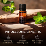 Gya Labs Melissa Essential Oil for Candle Making Scents - 0.34 Fl Oz - Natural Melissa Oil