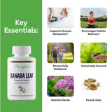 Paradise Herbs, Banaba Leaf, 12:1 Concentrated Extract, 250 mg, Vegan, Gluten-Free, Non-GMO, 180 Capsules