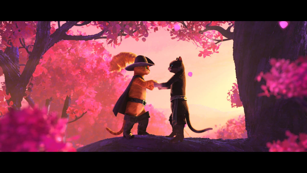 Puss in Boots: The Last Wish - Collector's Edition 4K Ultra HD + Blu-ray + Digital [4K UHD]