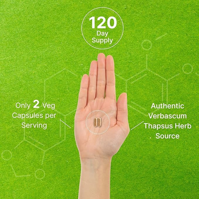 Mullein Leaf Extract 20,000mg, 240 Veggie Capsules – 4 Month Supply – Lung Cleanse & Detox Herbal Supplement – Supports Respiratory & Immune Health – Non-GMO, Vegan