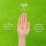 Mullein Leaf Extract 20,000mg, 240 Veggie Capsules – 4 Month Supply – Lung Cleanse & Detox Herbal Supplement – Supports Respiratory & Immune Health – Non-GMO, Vegan