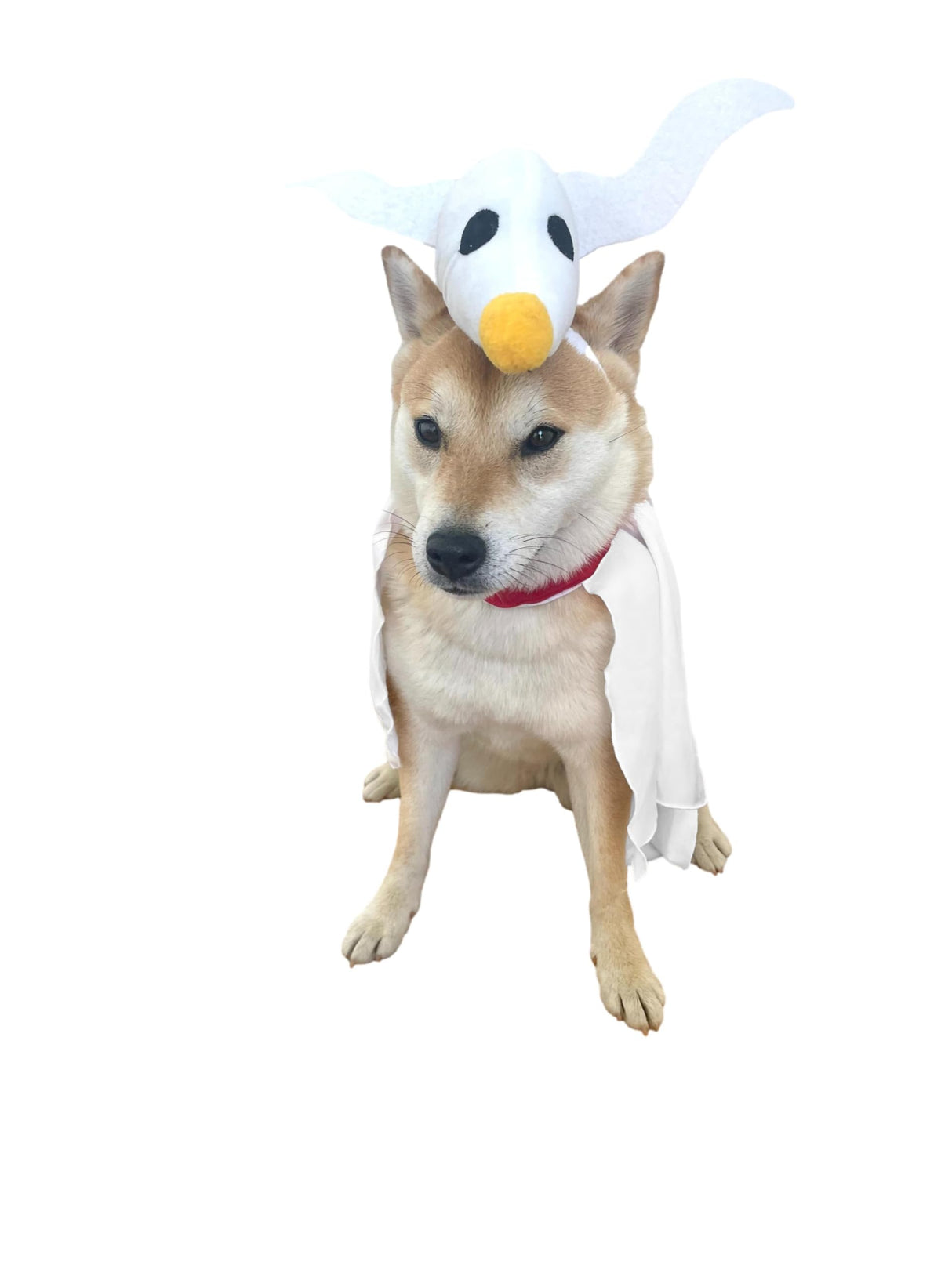 ComfyCamper Dog Ghost Costume - X Large Medium Small French Lab Night Lab Cosplay Halloween Christmas Costumes, Medium