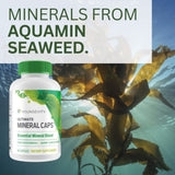 Youngevity Ultimate Mineral Caps™ - 70+ Essential Full Spectrum Trace Minerals - Nutrient-Dense, Derived from Humic & Aquamin Seaweed (64 Capsule)
