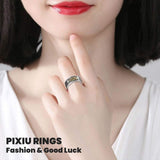HETICA Feng Shui Pixiu Mantra Amulet Lucky Adjustable Ring