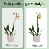 20Pcs Plant Stakes, 23.6IN Orchid Support Stakes for Indoor Plants