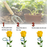 10 Pieces 24 inch Green Single Stem Plant Stakes Flower Support Rings,Gardening Planter Cages for Single Stem Flowers, Amaryllis, Peony, Lily,Narcissus