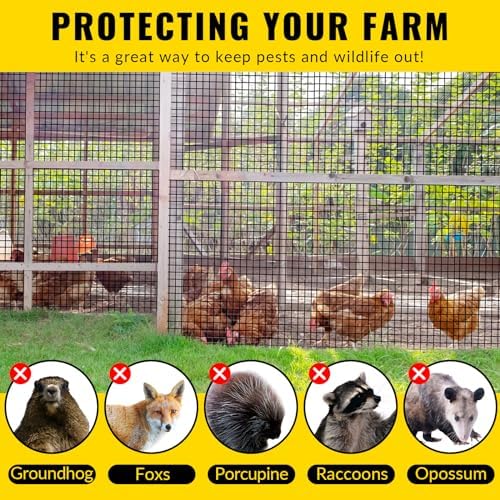 Hardware Cloth 1/2 inch 48 x 100 ft Heavy Duty Black Chicken Wire Fencing 19 Gauge Vinyl Coated Welded Wire Mesh Roll PVC Hardware Cloth Chicken Wire Fencing Garden Fence Tree Guard