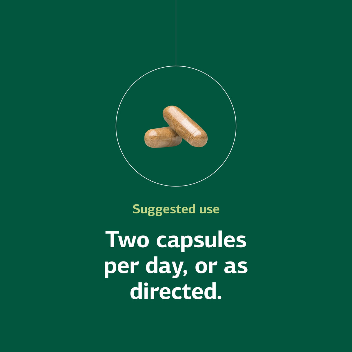 Standard Process Inc. Neuroplex - Whole Food Nervous System Supplements, Brain Health and Brain Support with Thiamin, Spanish Moss, Riboflavin, Calcium Lactate, Vitamin B6, Niacin - 90 Capsules
