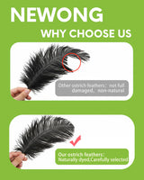 NEWONG 30pcs Black Ostrich Feathers Natural Bulk 11-14inch(28-35cm) Vase Craft Wedding Home Party Centerpieces Christmas Day Decoration