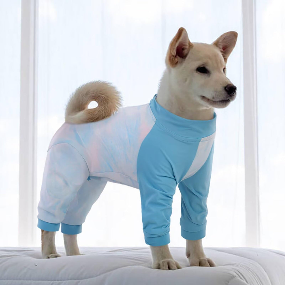 MIGOHI Full Body Dog Recovery Suit - Breathable Onesie for Female Male, Anti-Licking Pajamas, Surgery Suit for Large Dogs, XL, Blue
