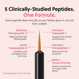 ForChics Prostaglandin-Free Eyelash Growth Serum – Rebuilds Thin Lashes