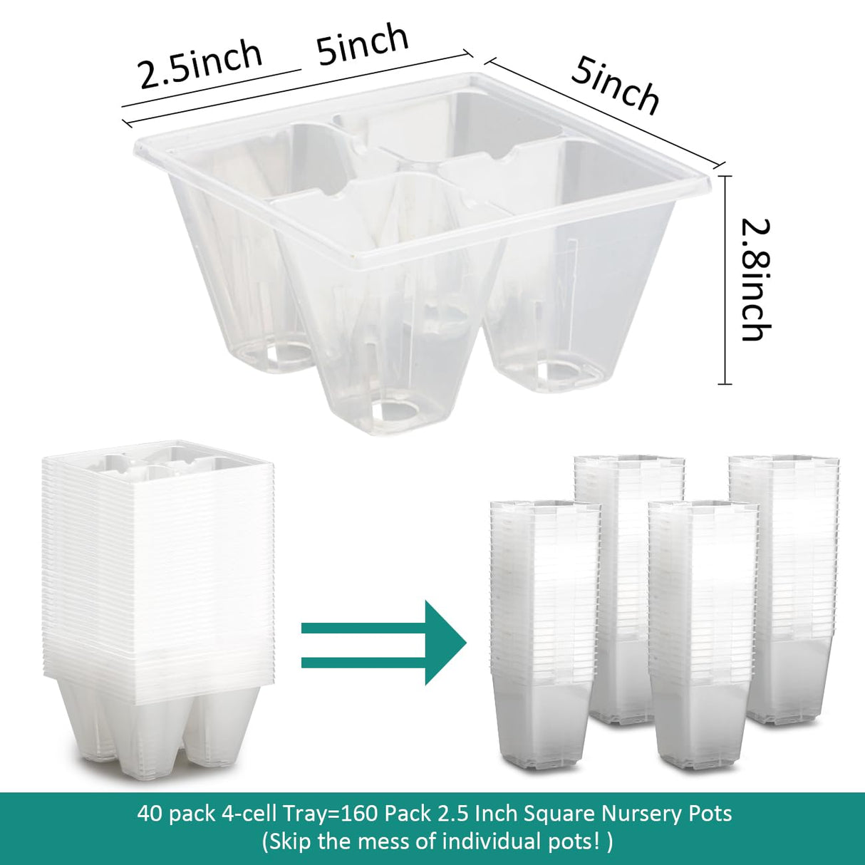 RooTrimmer 40 Pack Reusable 4-Cell Seed Starter Trays with Large Drainage Holes - Clear Transparent Trays for Root Growth Monitoring, Avoids Overwatering, Easy Transplant, Fits Standard 1020 Trays