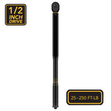 LEXIVON 1/2-Inch Drive Click Torque Wrench 25-250 Ft-Lb/33.9-338.9 Nm (LX-184)
