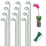 12 Pack 36 Inch Plant Support Stakes for Outdoor Plants and Indoor Flowers