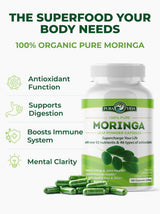 PURA VIDA MORINGA Capsules Single Origin Moringa Powder Organic. Moringa Leaf. Energy, Metabolism, & Immune Support. 120ct. 500mg Caps.