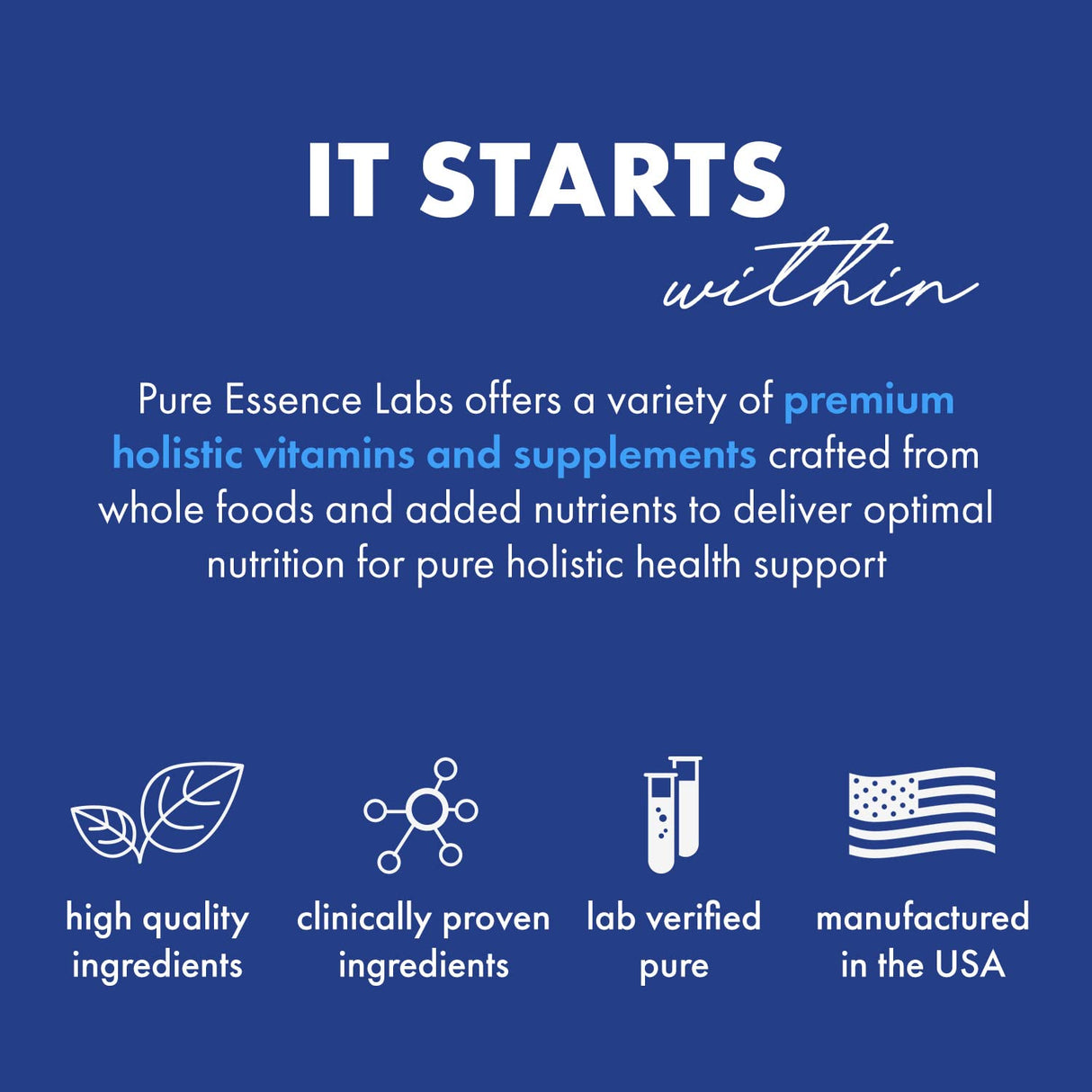 PURE ESSENCE LABS One N Only Multivitamin for Men, Natural One a Day Herbal Supplement with Vitamin D3, B12, and Biotin with Whole Foods, 90 Tablets