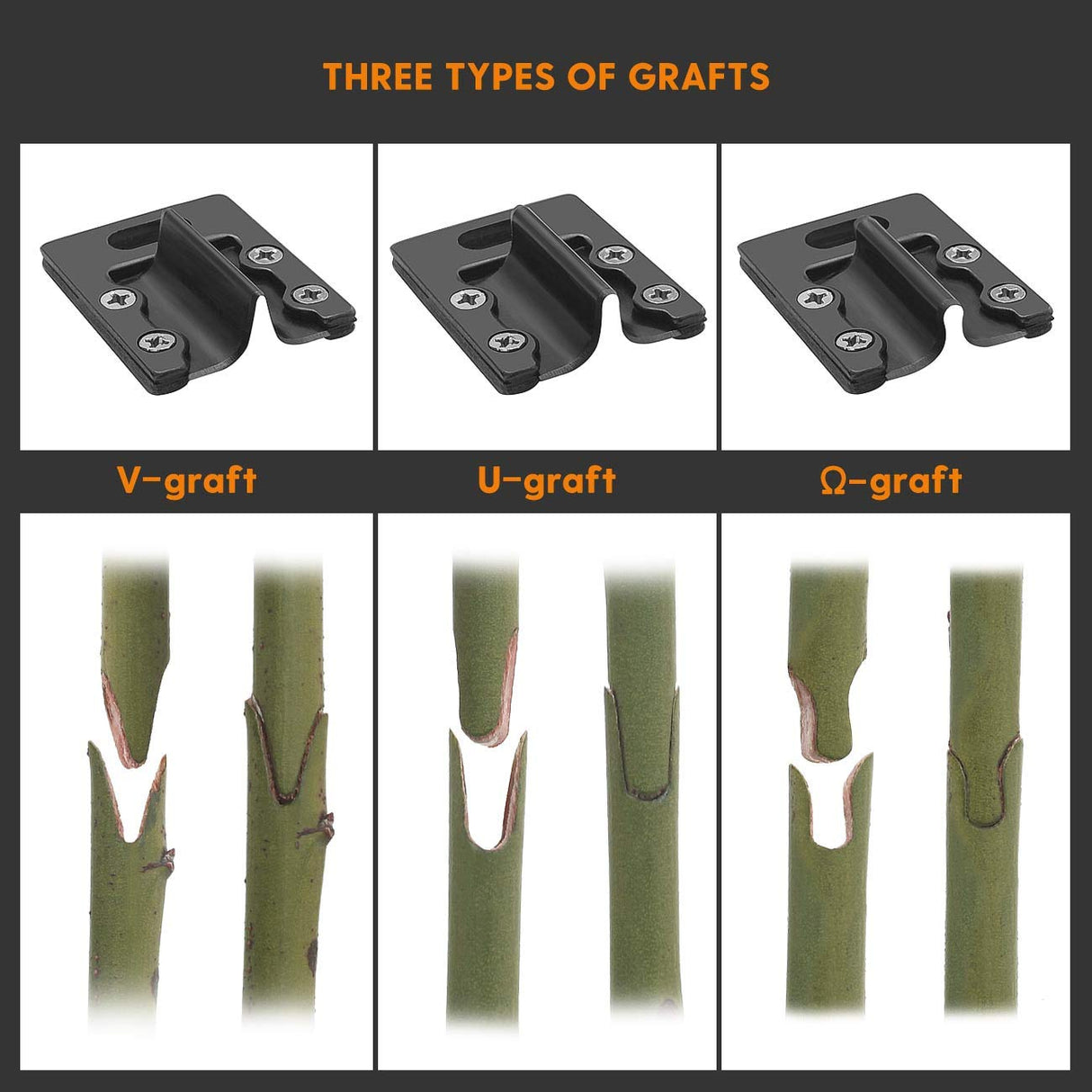 FUJIWARA Garden Grafting Tool, Multifunctional Pruning Scissors Kit, U-Graft/V-Graft/Omega-Graft Seedling for Fruit Tree Grafting Set,Including Grafting Tapes, Grafting Knife & Replacement Blades