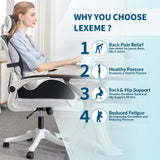X Large Memory Foam Seat Cushion Lumbar Support Pillow for Sciatica & Tailbone Pressure Relief Coccyx Pad for Office Chair, Car,Wheelchair,Home,Office