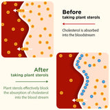 Advanced Cholesterol Supplements | Liquid-Filled Capsules for Better Absorption | Plant Sterols, Policosanol, Bergamot Extract | Triple-Action Formula,90 Capsules