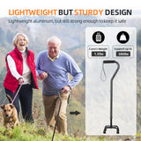 BeneCane Quad Cane Adjustable Walking Cane with Offset Soft Cushioned Handle for Men & Women Lightweight Comfortable with 4-Pronged feet for Extra Stability(Black)