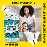 Molly's Suds Original Laundry Detergent Powder | Clean Laundry Detergent Powder for Sensitive Skin | Simple, Effective Ingredients, Stain Fighting | 120 Load (Eucalyptus)