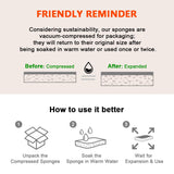 AIDEA Non-Scratch Scrub Sponge, 48Count, Sponges for Dishes, Sponges Kitchen, Cleaning Sponge, Cleans Fast Without Scratching, Stands Up to Stuck-on Grime, Cleaning Power for Everyday Jobs