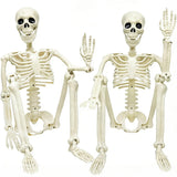2 Pack 36in Posable Plastic Skeleton Halloween Decor - 3 ft Halloween Decor