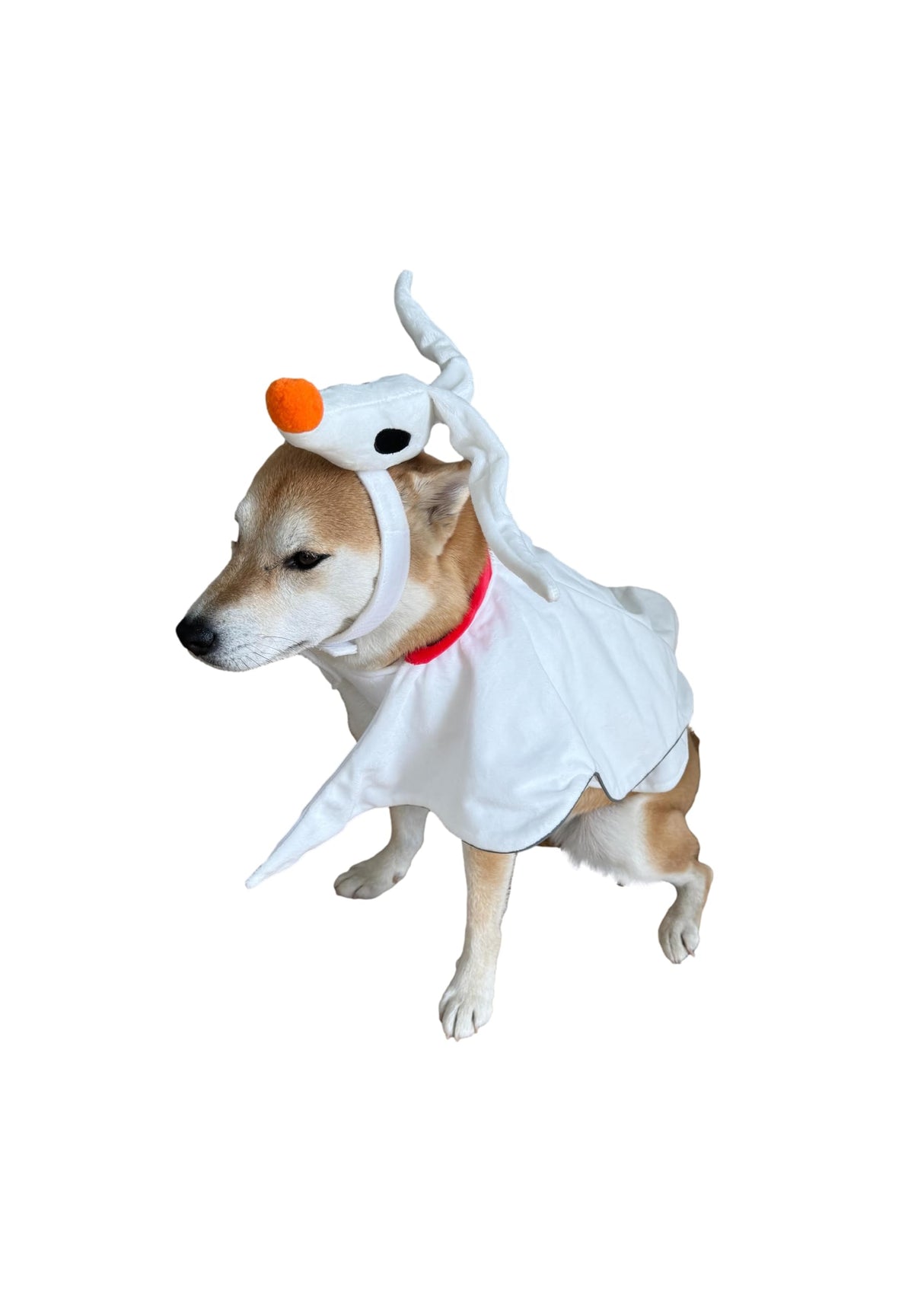 ComfyCamper Dog Ghost Costume - XXS Small Medium Large XXL Spooky Cosplay Christmas Halloween Scary Costumes, S