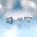 Limerencia Implant Grade Titanium Screw Back Earrings for Sensitive Ears
