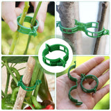 100 Secured Plastic Plant Clip, New Reusable Plant Support Clips Plastic Clips Tomato Clips for Securing Plants for Climbing Plants, Grape, Vegetable Stems (100 Pcs)