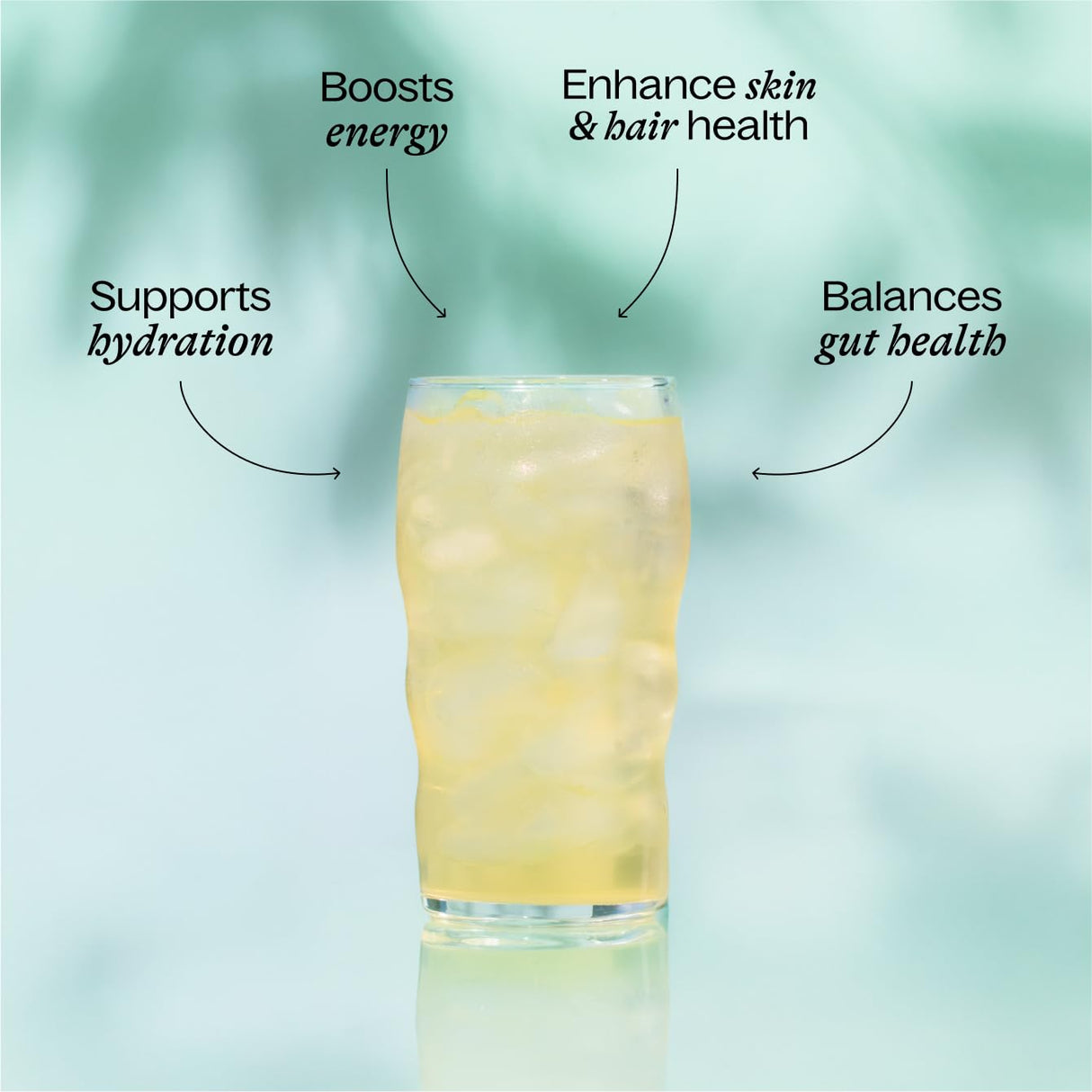 BelliWelli Fiber Supplement for Women & Men – Premium Daily Fiber Powder from Organic Acacia with Added Collagen, Electrolytes & Probiotics – No Bloat, Constipation & Gut Health Support (Orange Yuzu)