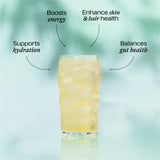 BelliWelli Fiber Supplement for Women & Men – Premium Daily Fiber Powder from Organic Acacia with Added Collagen, Electrolytes & Probiotics – No Bloat, Constipation & Gut Health Support (Orange Yuzu)