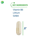 Nutra Biogenesis Stress Factors - GABA Supplements for Women & Men, L Theanine Calm Relaxation Support for Adults, 100mg L-Theanine & 25mg GABA Per Pill - 60 Veggie Capsules