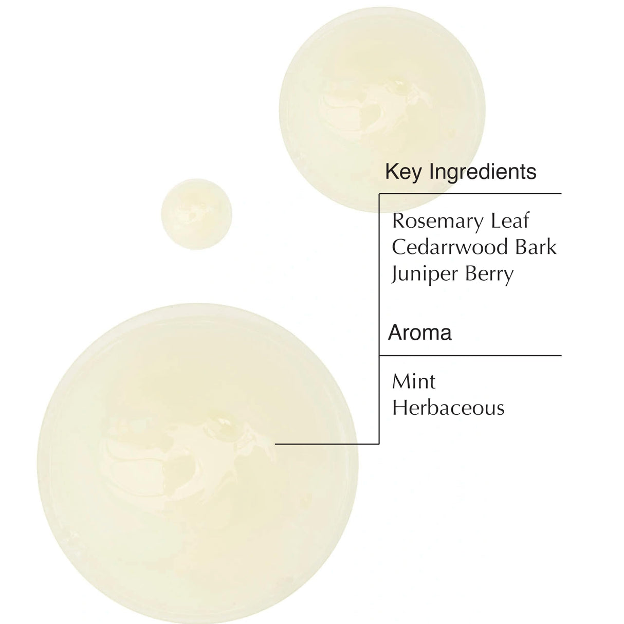 Aesop Classic Shampoo | Gentle Formulation | Leaves Hair Shiny, Soft, Freshened | Rosemary Leaf, Cedarwood Bark, Juniper Berry | 16.9 oz / 500mL