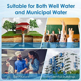 Waterdrop W50PEHD Whole House Water Filter, Replacement for American Plumber, W10-PR, Culligan® R50-BBSA, GE ®FXHSC, GXWH40L, GXWH35F, 5 Micron, 10" x 4.5", High Flow Sediment Filters, Pack of 3