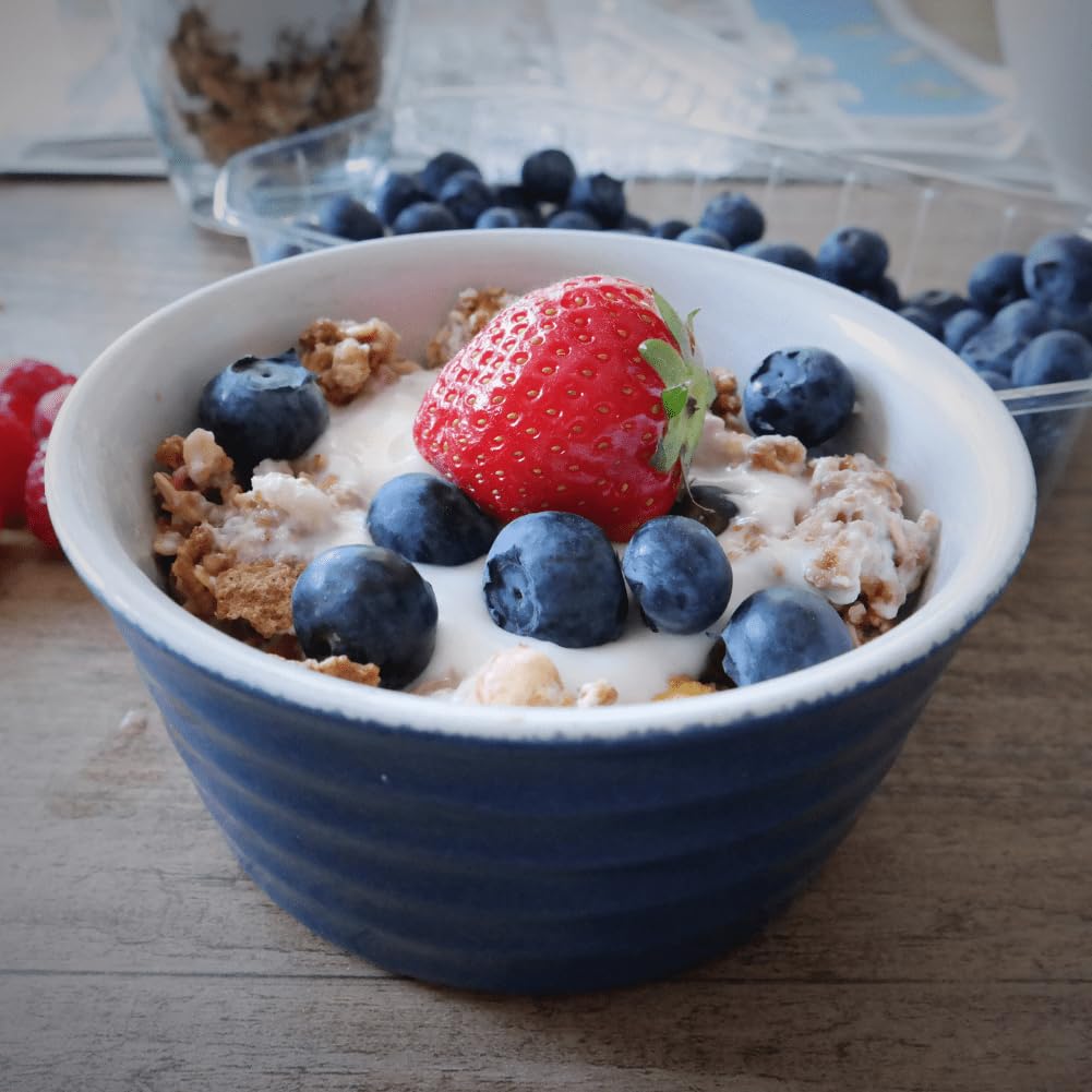 Freshly Fermented - Organic Bulgarian Yoghurt Starter