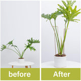 GOOOXIM 10 PCS Large Indoor Plant Stakes 15.5" Heavy Duty Metal Supports