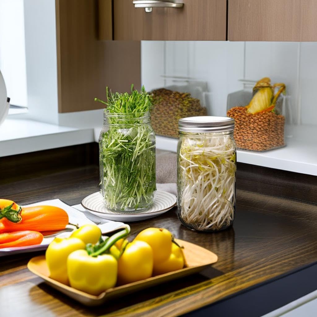 Lulonpon 2pcs Sprouts Growing Jar Kit, Wide Mouth Quart Mason Jars with Stainless Steel Screen Sprout Lids, 86mm,1000ml,Stand,Tray and Canning Brush,Seed Sprouter Set for Broccoli, Alfalfa, Mung Bean